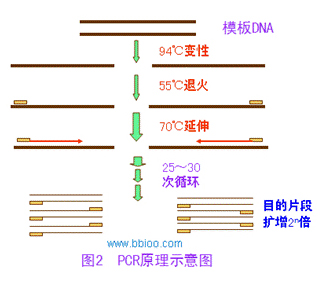 凯时人生就是搏·(中国区)官方网站