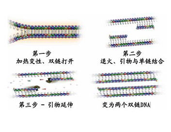 凯时人生就是搏·(中国区)官方网站